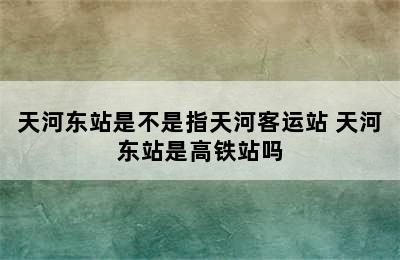 天河东站是不是指天河客运站 天河东站是高铁站吗